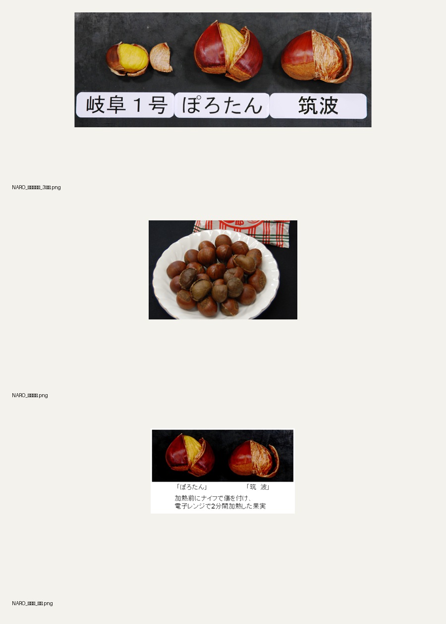 NARO 조리 상태 공식 자료